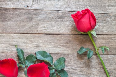 ahşap arka plan üzerinde kırmızı gül