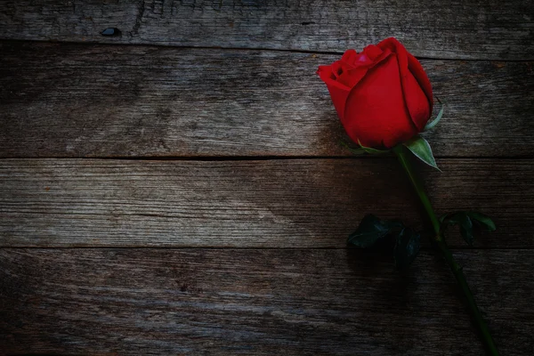 Czerwone róże na tle drewna — Zdjęcie stockowe