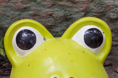 Kurbağa gözü 