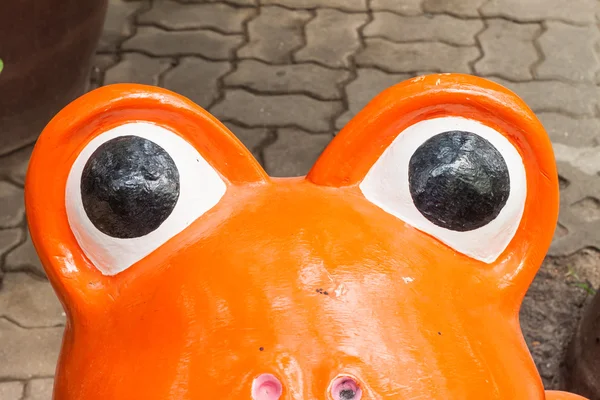 Frog eyes — Stock Photo, Image