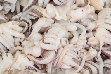 Balık pazarı, taze kalamar