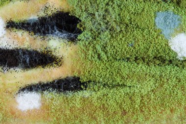 pasta küflü dokusuna