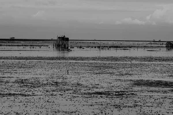 Landschap van wad — Stockfoto