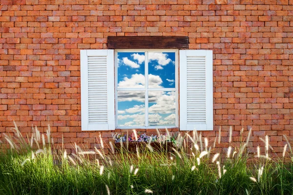 Pared de ladrillo con hierba de flores y ventana — Foto de Stock