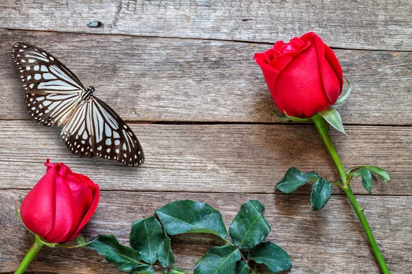 Czerwona róża i motyl — Zdjęcie stockowe