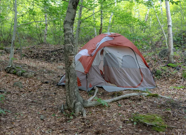 Tent Woods Dusk Tent Empty People Door Partly Open Slightly — Stock Photo, Image