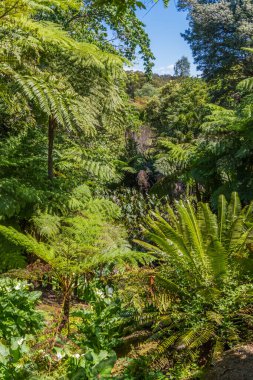 Avustralya 'nın NSW kentindeki Central Coast Hinterland' da bulunan Kulnura 'daki Cennet Botanik Bahçeleri' ni keşfediyorum..