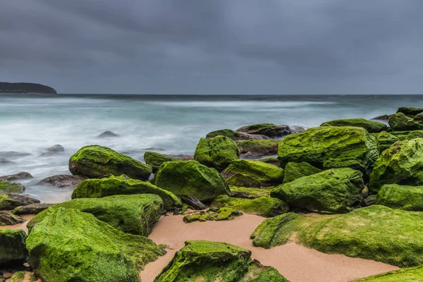 中央海岸 ニューサウスウェールズ州 オーストラリアのキルケアビーチで鮮やかな緑の苔生した岩で覆われた日の出の海 — ストック写真