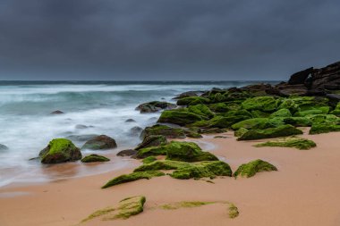 Central Coast, NSW, Avustralya 'daki Killcare Sahili' nde canlı yeşil yosunlu kayalarla bulutlu bir deniz doğumu..