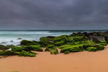 Central Coast, NSW, Avustralya 'daki Killcare Sahili' nde canlı yeşil yosunlu kayalarla bulutlu bir deniz doğumu..