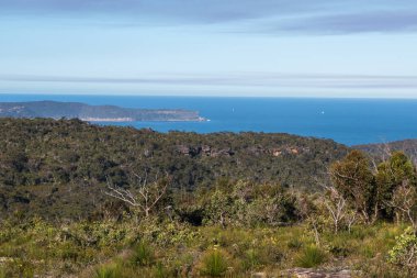 Bush, Avustralya, NSW 'nin merkez kıyısındaki Patonga ve Pearl Beach arasındaki Bouddi Ulusal Parkı' nda yürüyor..