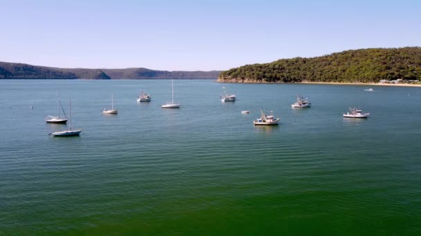 Patonga Nsw Australia December 2020 Fishing Boats Brisk Bay Patonga — 비디오