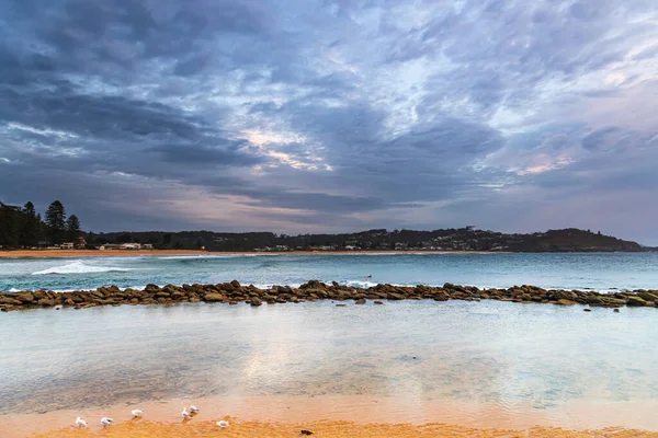 Overcast Early Morning Seaside Avoca Beach Central Coast Nsw Australia — Stock Photo, Image