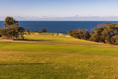 Denizin kıyısındaki Narooma Golf Sahası NSW, Avustralya 'nın güney kıyısında.