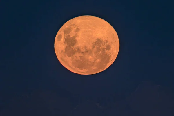 Superlua Rosa Lua Cheia Subindo Pearl Beach Costa Central Nsw — Fotografia de Stock