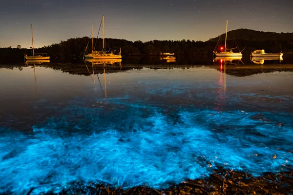 Bioluminescence blue glow from marine algae is activated when there is movement in the water at Woy Woy Waterfront on the Central Coast of NSW, Australia.