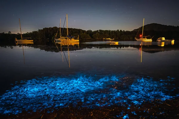 Bioluminescence blue glow from marine algae is activated when there is movement in the water at Woy Woy Waterfront on the Central Coast of NSW, Australia.