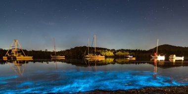 Bioluminescence blue glow from marine algae is activated when there is movement in the water at Woy Woy Waterfront on the Central Coast of NSW, Australia. clipart