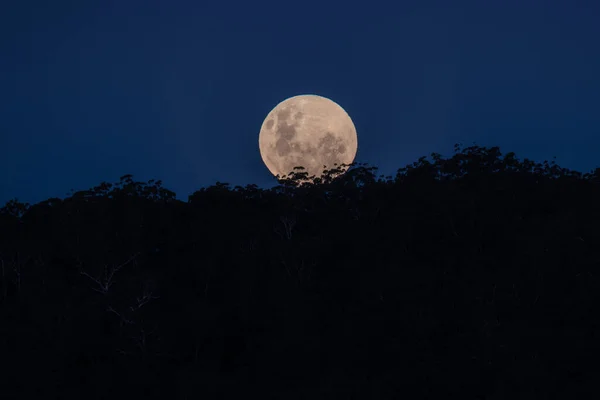 Lua Cheia Nascendo Maio 2021 Durante Pôr Sol Woy Woy — Fotografia de Stock