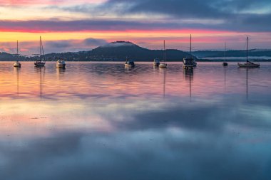 Central Coast, NSW, Avustralya 'daki Koolewong rıhtımında tekneler ve sisli yumuşak bir gün doğumu..