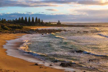 Tuross Head, Avustralya 'nın NSW eyaletinin güney kıyısında bir sahil köyüdür. Moruya ve Narooma şehirleri arasında yer almaktadır..