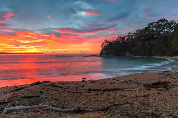 Sunrise Seascape Com Nuvens Altas Sunshine Bay Costa Sul Nsw — Fotografia de Stock