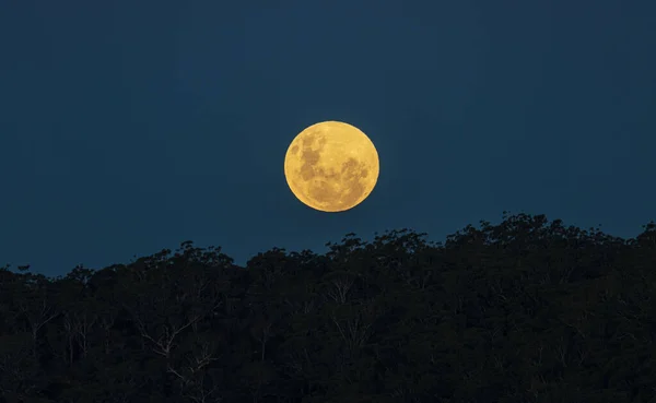 Lua Cheia Nascendo Maio 2021 Durante Pôr Sol Woy Woy — Fotografia de Stock