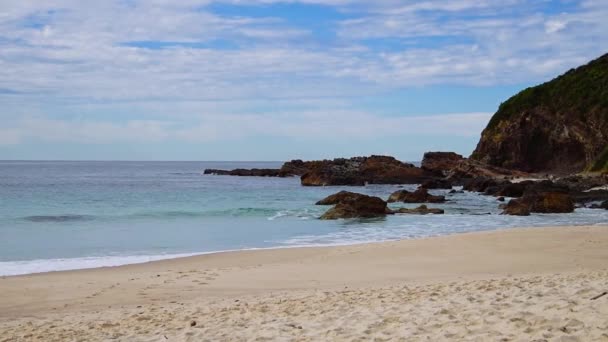 Один Mile Beach Форстері Узбережжі Баррінгтона Nsw Австралія — стокове відео
