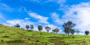 Huzurlu bir bahar sahnesi. - Riverina, NSW, Avustralya 'da bulutlar ve yeşil alanlar.