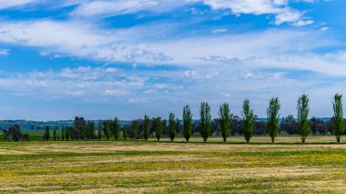 Huzurlu bir bahar sahnesi. - Riverina, NSW, Avustralya 'da bulutlar ve yeşil alanlar.