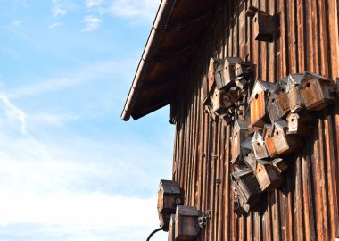 Kırsal ahşap duvarda küçük şirin kuş evleri. Güzel ahşap kuş evine yakın..