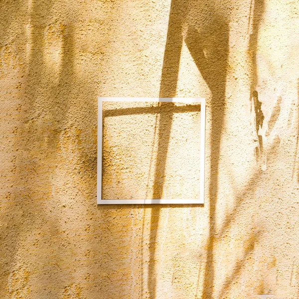 A simple white frame on a beige wall with shadows of tree branches making an interesting contrast. Minimal summer invitation or announcement design. Trendy sun and shadows concept.