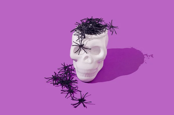 紫色の背景に白い頭蓋骨からクモが出てきます ハロウィン不気味な創造的なデザイン — ストック写真