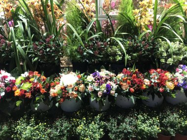 Çiçekçinin önünde süslenmiş çiçekler.