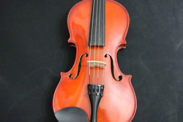 Musikinstrument Geige Ein Musikinstrument Italienischer Herkunft Auch Viola Genannt — Stockfoto