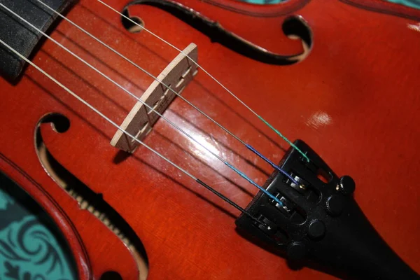 Скрипичный Романтический Музыкальный Инструмент — стоковое фото