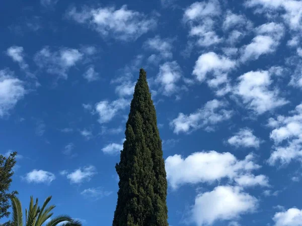 Lindas Nuvens Céu Azul — Fotografia de Stock