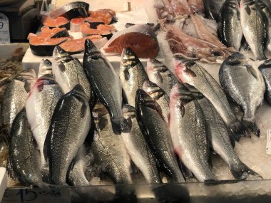 Balık dükkanında sergilenen balıklar