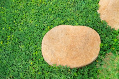 Yol yeşil çimlerin üzerinde taşlarla kaplanmış güzel doğaya..