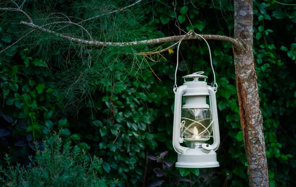 Beautiful white lantern, suitable for camping in the forest, enhancing the mood for traveling.