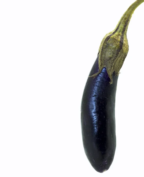 任意のグラフィックデザインや性的健康食品の広告の一部として使用する白い背景に紫の枯れてナス — ストック写真