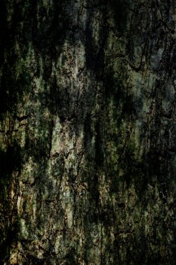 Soyut arkaplan, doğadan gelen soğuk koyu renk, grafik tasarımı için uygun bir bileşen veya metin için serin bir arkaplan.