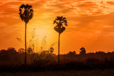 Soyut arkaplan, Asya 'nın kırsal kesiminin retro ve pastel tonlarıyla resmedilmiş görüntüsü, geçmişe dair bir geri dönüş hissi veriyor..