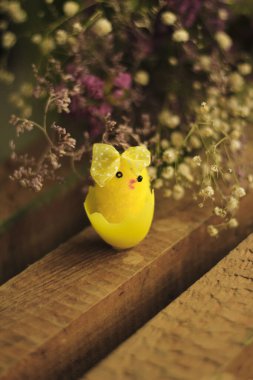  Tahta bir yüzeyde, çiçeklerin arasında, Paskalya sarısı tavuk.