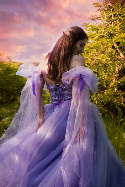Девушка Лесу Девушка Пышном Фиолетовом Платье Закате Фото Сзади Стоковое Изображение