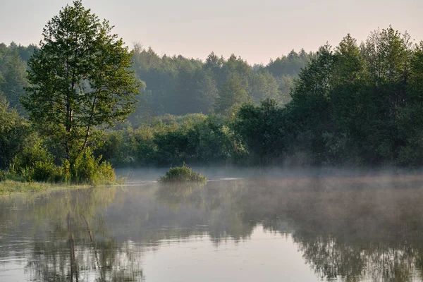 Nebel Morgen Auf Dem Fluss — Stockfoto