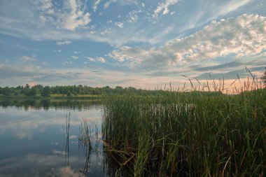 Akşamları nehir kıyısında