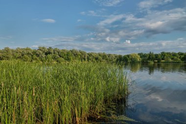Gölde sakin bir gün