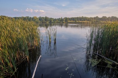 Nehrin üzerinde gün batımı
