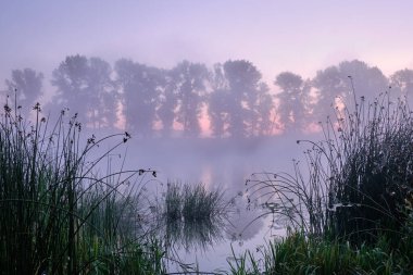 Gölün üzerinde sisli bir sabah
